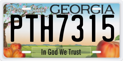 GA license plate PTH7315