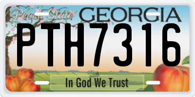 GA license plate PTH7316