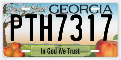 GA license plate PTH7317