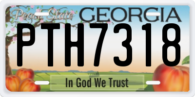 GA license plate PTH7318