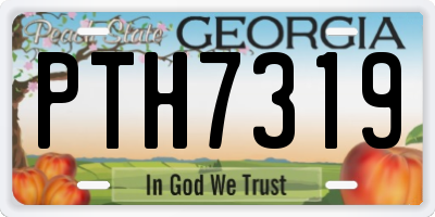 GA license plate PTH7319
