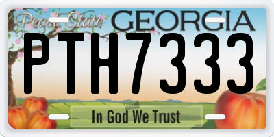 GA license plate PTH7333