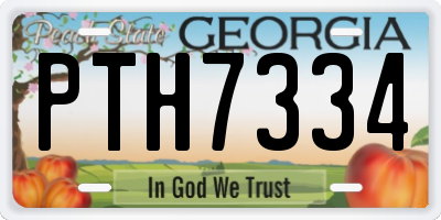 GA license plate PTH7334