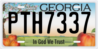 GA license plate PTH7337