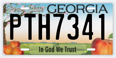 GA license plate PTH7341