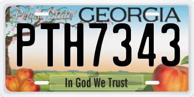 GA license plate PTH7343