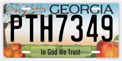 GA license plate PTH7349