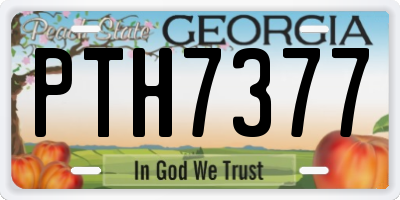 GA license plate PTH7377