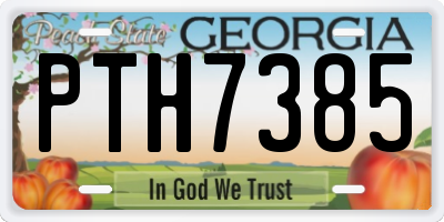 GA license plate PTH7385