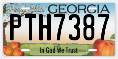 GA license plate PTH7387