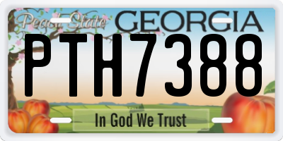 GA license plate PTH7388