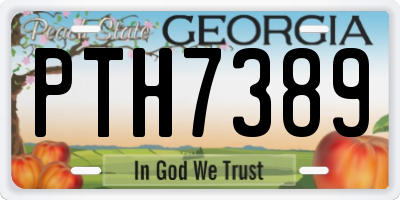 GA license plate PTH7389