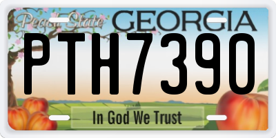 GA license plate PTH7390