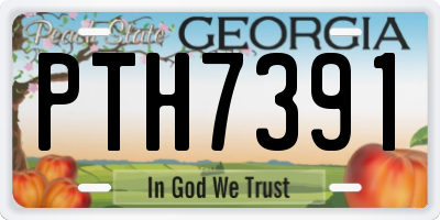 GA license plate PTH7391