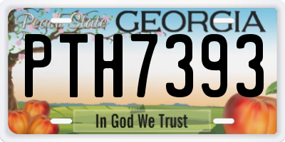 GA license plate PTH7393