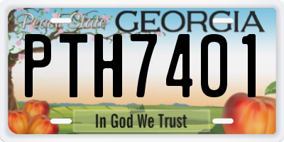 GA license plate PTH7401