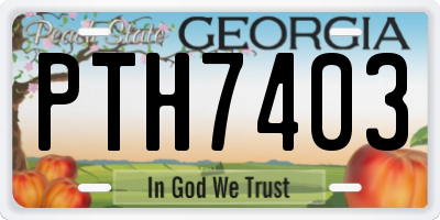 GA license plate PTH7403