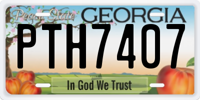 GA license plate PTH7407