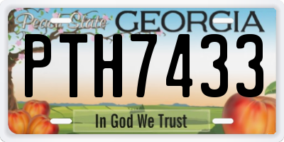 GA license plate PTH7433