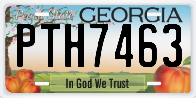 GA license plate PTH7463