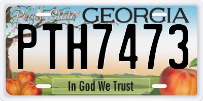 GA license plate PTH7473