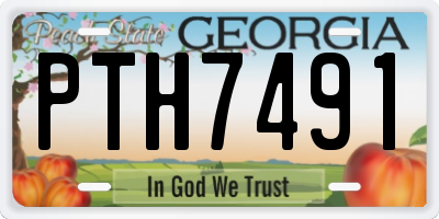GA license plate PTH7491