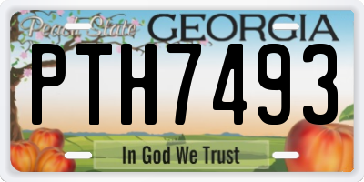 GA license plate PTH7493