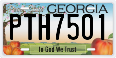 GA license plate PTH7501