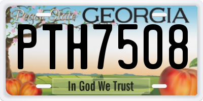 GA license plate PTH7508