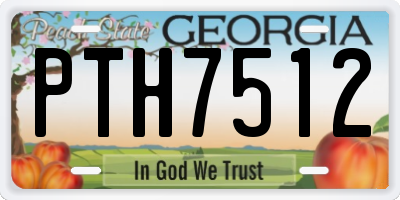 GA license plate PTH7512