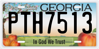 GA license plate PTH7513