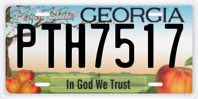 GA license plate PTH7517