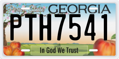 GA license plate PTH7541