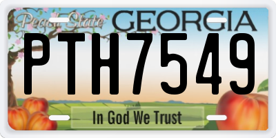 GA license plate PTH7549