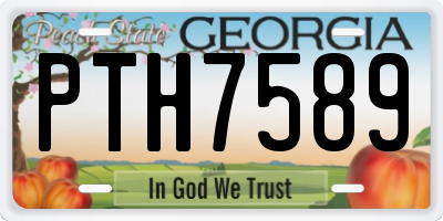 GA license plate PTH7589