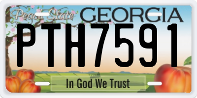GA license plate PTH7591