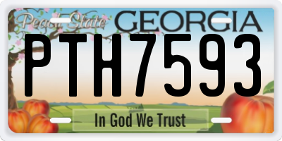 GA license plate PTH7593