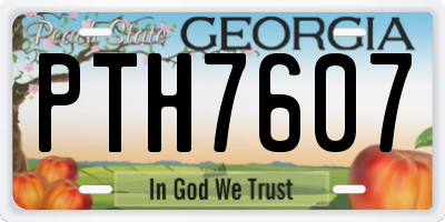 GA license plate PTH7607