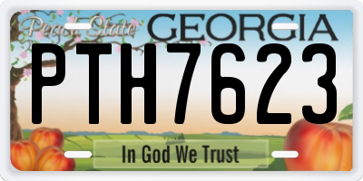 GA license plate PTH7623