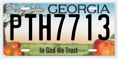 GA license plate PTH7713
