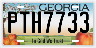 GA license plate PTH7733