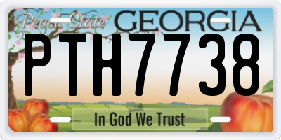 GA license plate PTH7738