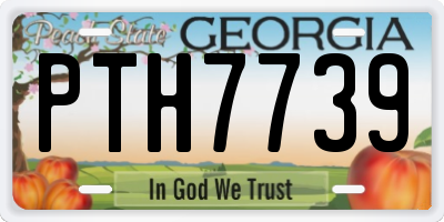 GA license plate PTH7739