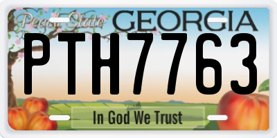 GA license plate PTH7763