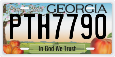 GA license plate PTH7790