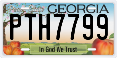 GA license plate PTH7799