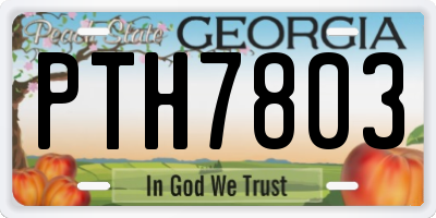 GA license plate PTH7803