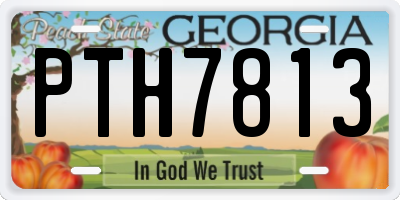 GA license plate PTH7813