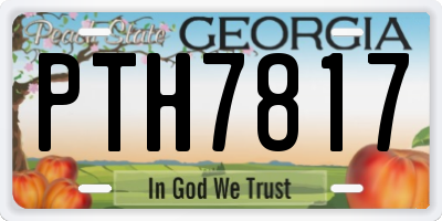 GA license plate PTH7817