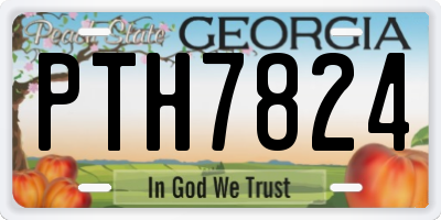 GA license plate PTH7824